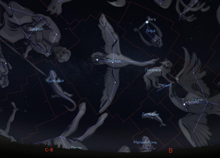 Созвездия в программе Stellarium.